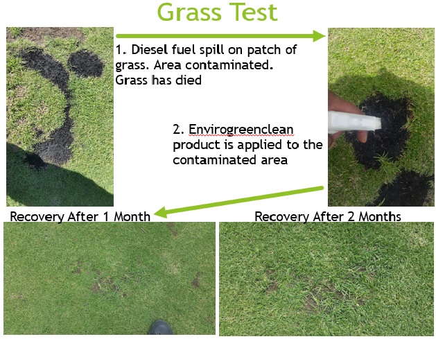 Grass regrow test Grass regrow test